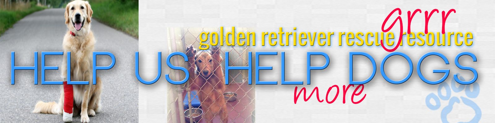 Help Us Help More Golden Retriever Dogs, Donate header