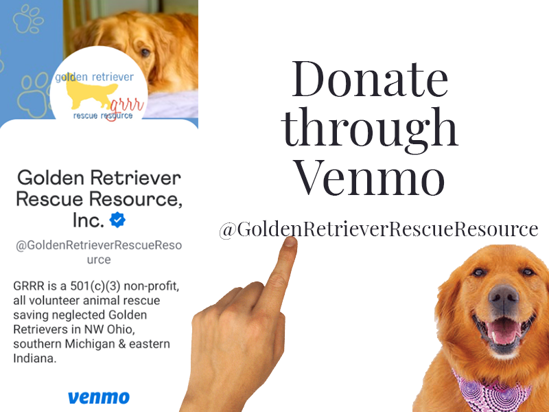 Donate to Golden Retriever Rescue Resource Venmo