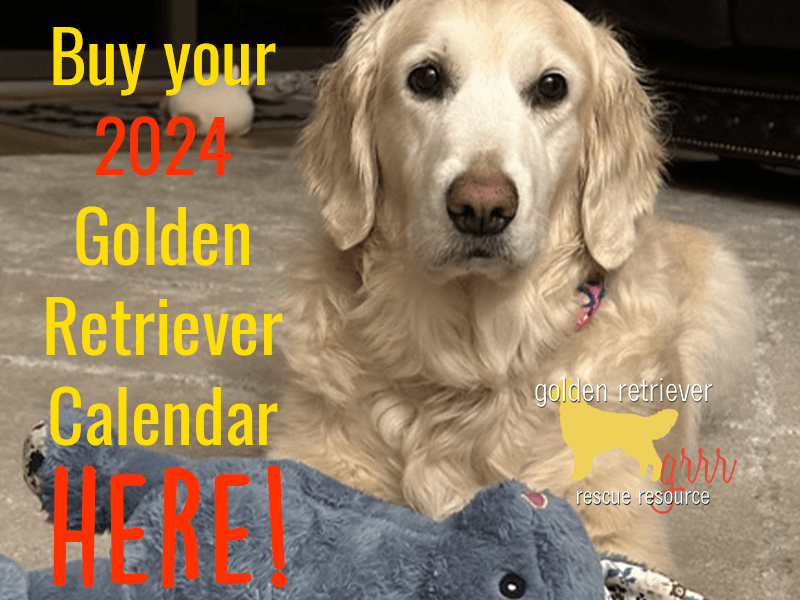 Home – GRRAND - Golden Retriever Rescue