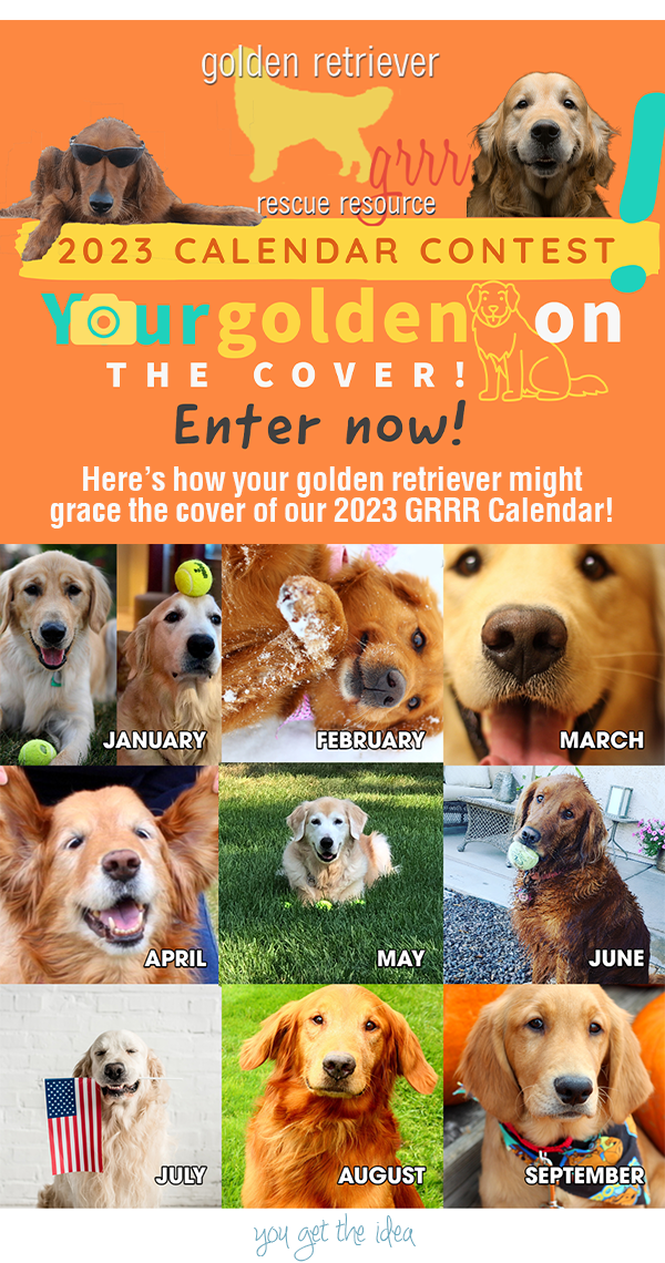Golden Retriever Rescue Resource Calendar Contest for 2023
