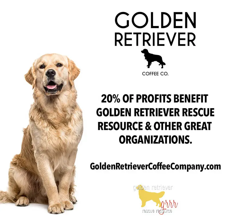 Buy gifts for someone who loves golden retrievers.