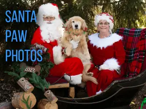 Pictures with Santa for your dogs. Santa Paws Photos event, a fundraiser for Golden Retriever Rescue Resource