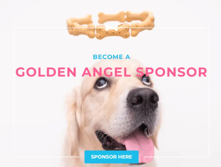 become-a-golden-angel-sponsor