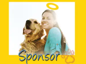 become-a-golden-angel-sponsor