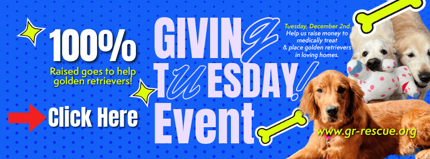 giving-tuesday-event-fundraiser-for-golden-retriever-rescue
