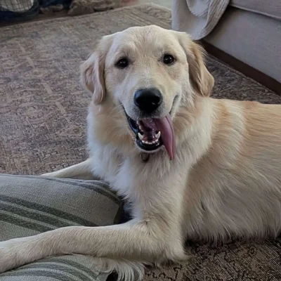 Winnie