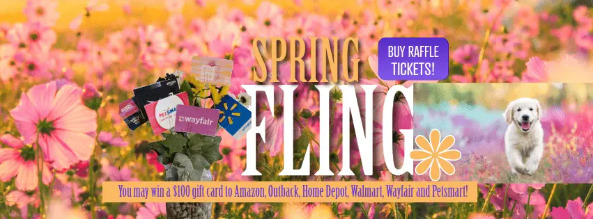 spring-fling-raffle-golden-retriever-rescue-rescue