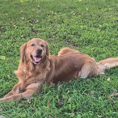 Daisy