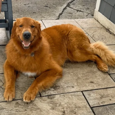 Archie