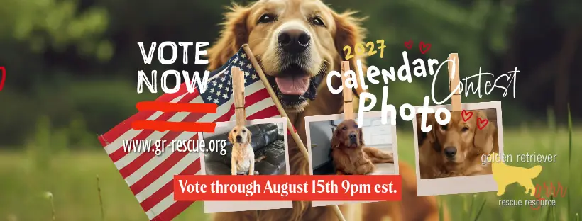 vote-GRRR-calendar-contest