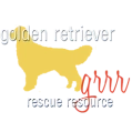 Adopt A Golden Retriever | Golden Retriever Rescue Resource