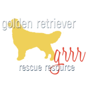 Adopt A Golden Retriever | Golden Retriever Rescue Resource